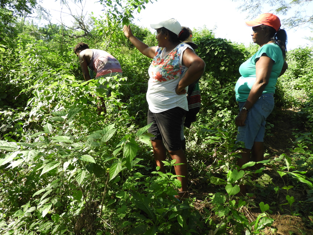 mujeres Montes de María