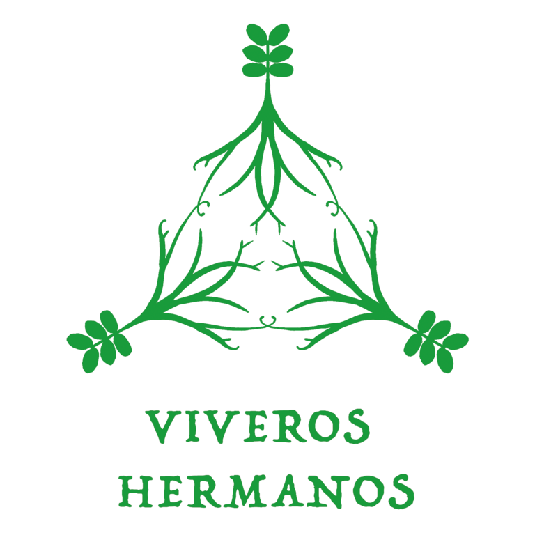 Logo_VH_verde transparente (2)