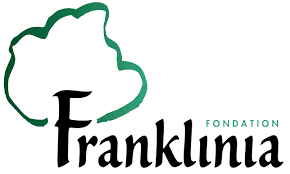 franklinia